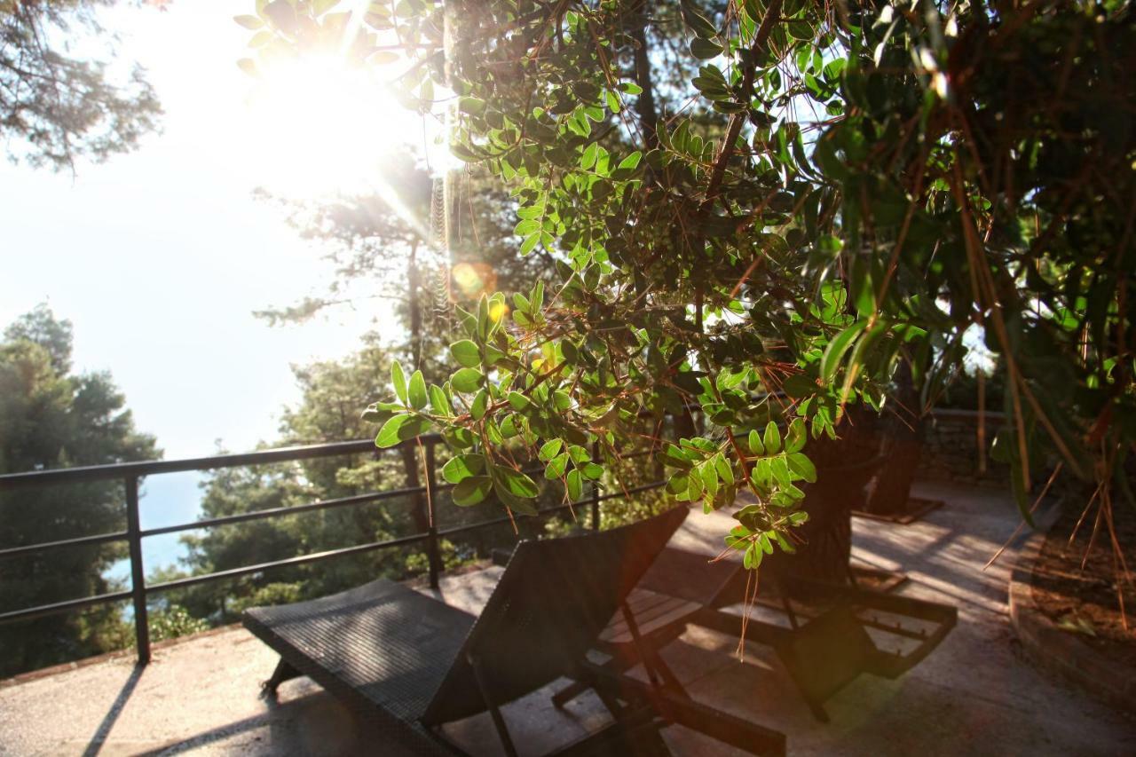 Hotel Nostos